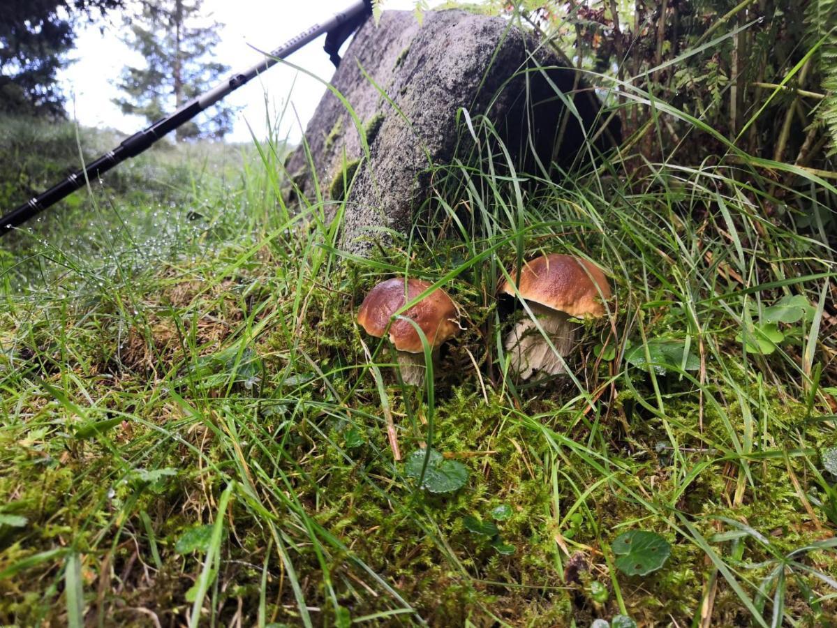 Affittacamere Da Silvia Santa Barbara  Eksteriør billede